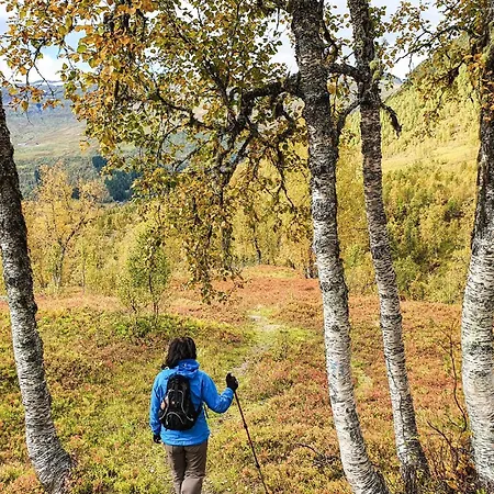 3 Bedroom Amazing In Vossestrand